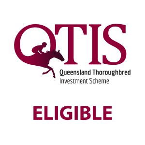 QTIS