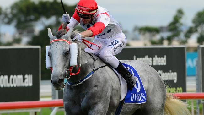 Upstart Pride will jump from the extreme outside in this year's Toowoomba Weetwood (Trackside Photography photo).