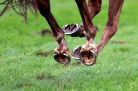 horse shoes