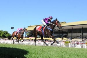 Jumbo Prince (Trackside Photography photo)