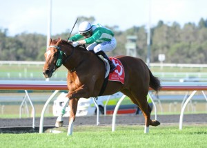 Feltre flew home to finish runner's up to recent Group 1 champion mare Tinto (Trackside Photography image).