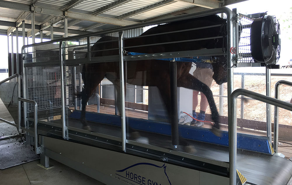 horse treadmill